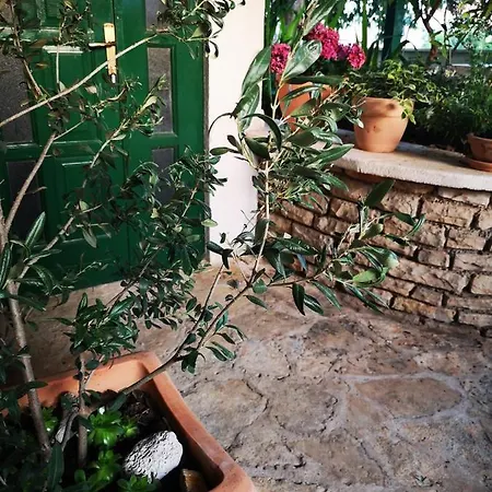 Ivona Apartamento