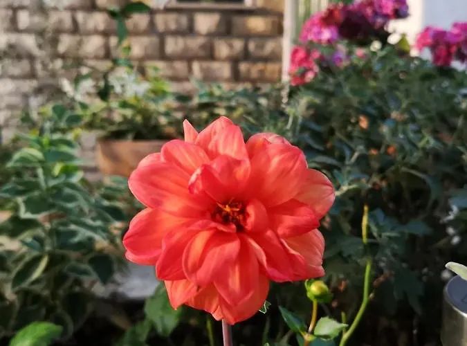 Apartamento Ivona Makarska