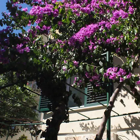 Apartamento Ivona *