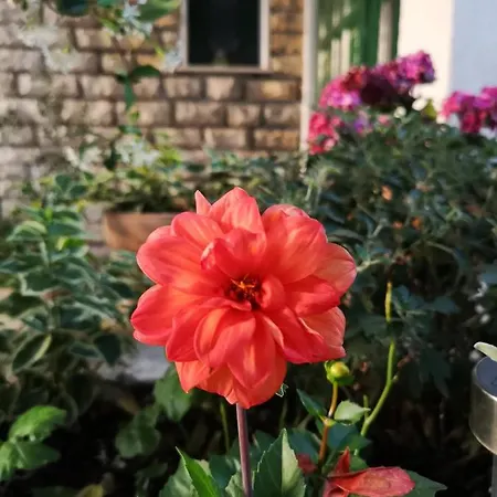 Apartmán Ivona Makarská